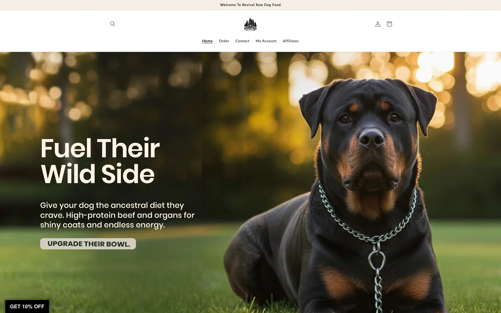 The client's previous website — a generic template